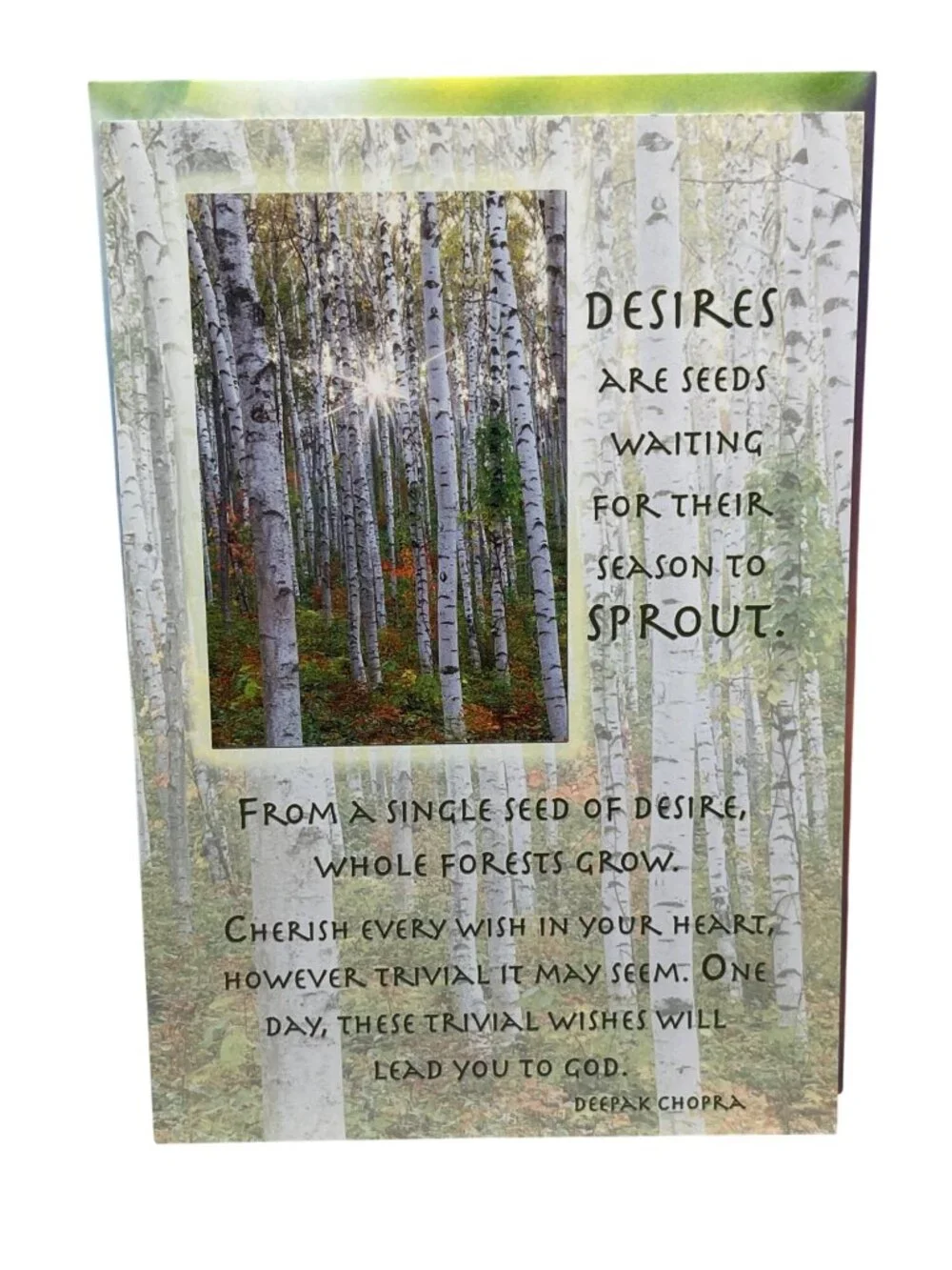 Heaven Within Inspirational Cards & Envelopes By Deepak Chopra Lot Of 8 Cards